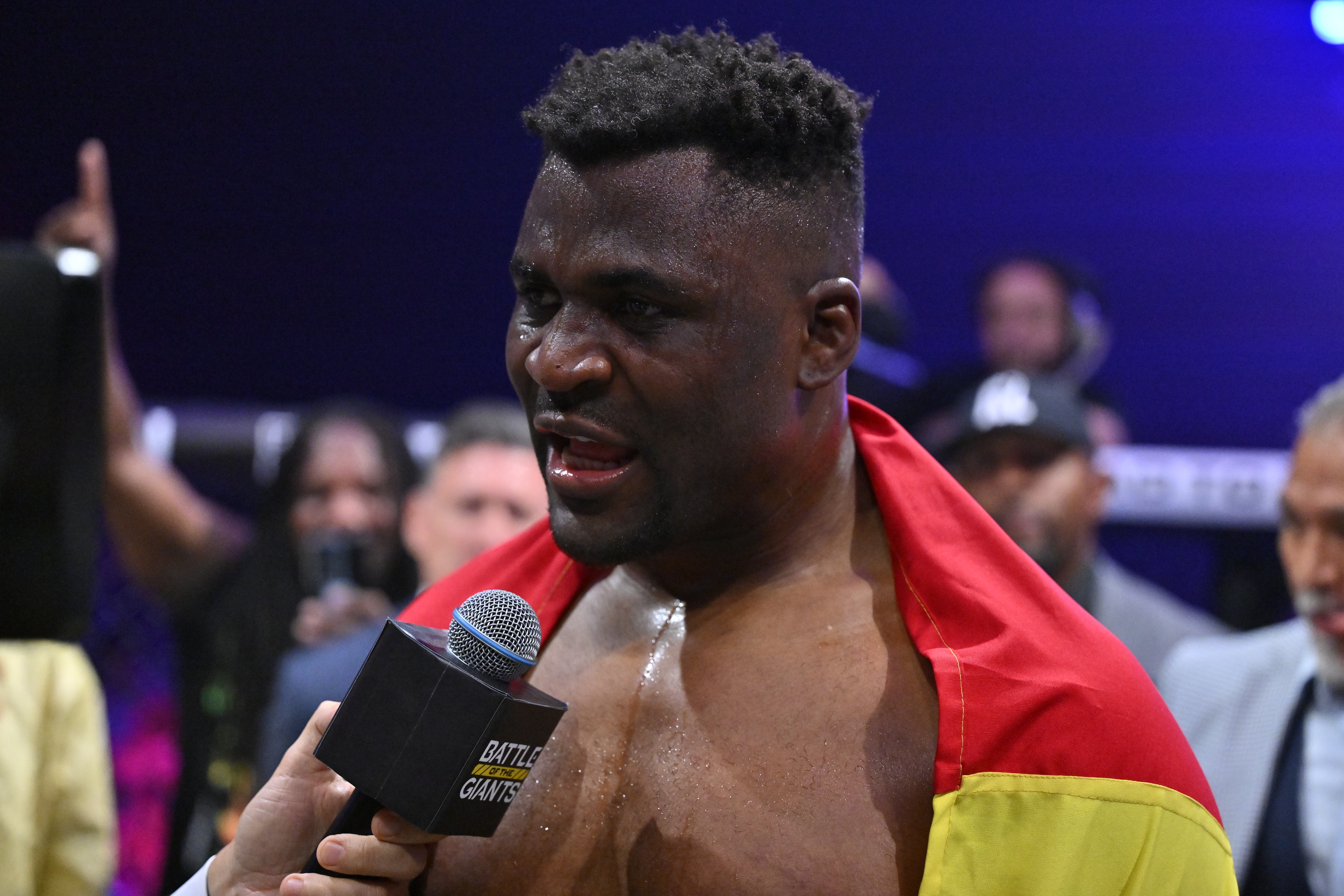 Professional Fighters League MENA